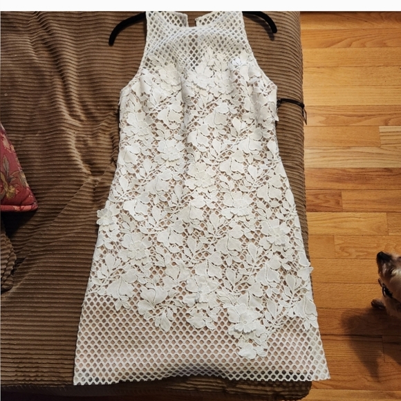 Beautiful Designer Dress NWT! - Picture 1 of 16